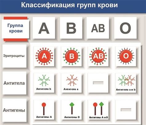 th?q=конфликт+по+группе+крови+таблица+как+определить+группу+крови+таблица