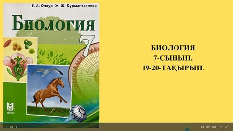 th?q=ксилема+тасымалдайды+өсімдіктердің+зат+тасымалдауға+қатысушы+мүшелері