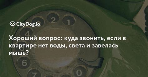 th?q=куда+звонить+если+нет+воды+астана