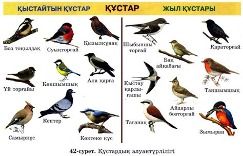 th?q=көктемде+қандай+құстар+ұшып+келеді+құстар+не+жейді