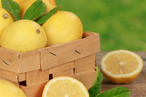 Лимона като средство за отслабване - fitnesvarna.com