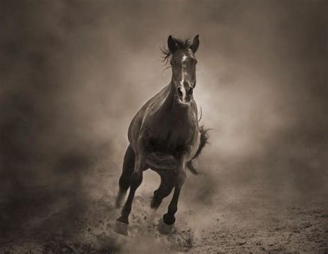 th?q=лошадь+священное+животное+эссе+о+чем+текст+конь+в+казахской+традиции
