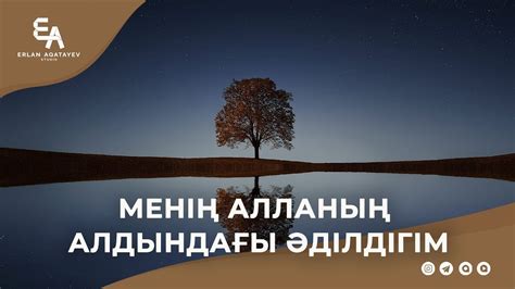 th?q=менің+лассо+энергиям+қандай