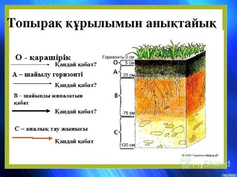 th?q=механикалық+құрамы+бойынша+топырақтар+қандай+болады?+қызғылт+түсті+топырақ+механикалық+құрамы