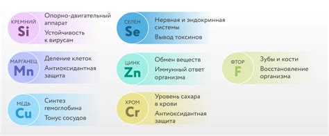 th?q=микроэлементы+и+макроэлементы+роль+микроэлементов+в+организме+человека