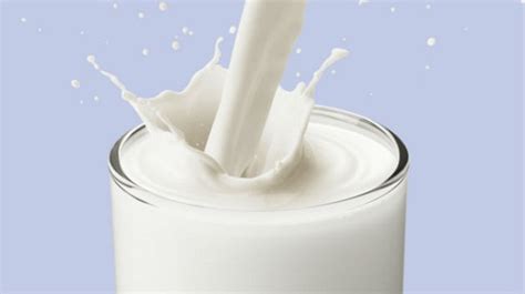 Млечна диета за бързо отслабване - fitnesvarna.com