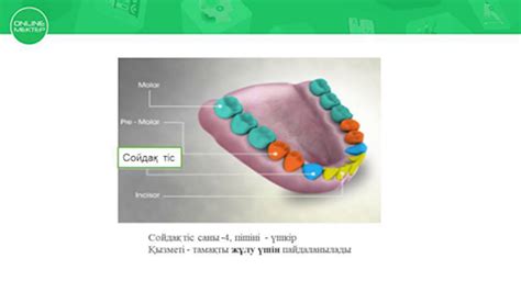 th?q=мүктің+құрылысы+мүктерде+жоқ+орган