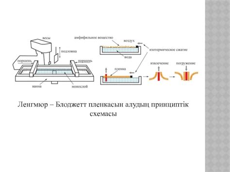 th?q=наноматериалдарды+алудың+екі+тәсілі+нанотехнологияның+қолданыс+аясы