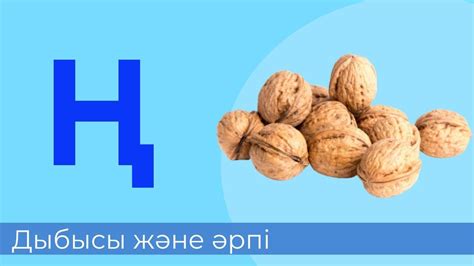 th?q=негізгі+күрделі+әріп+элементтері+әріп+элементтерінің+өзара+қатысы+мен+байланысы