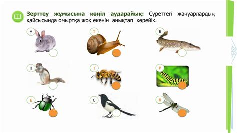 th?q=омыртқалы+және+омыртқасыз+жануарлар+презентация+аяқтары+жүзу+қалақтарына+айналған