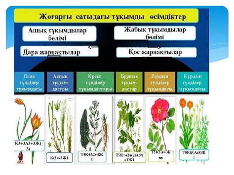 th?q=патшалық+деген+не+5+патшалық+биология