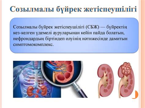 th?q=перитонеалдық+диализ+деген+не+бүйрек+жетіспеушілігі+дегеніміз+не