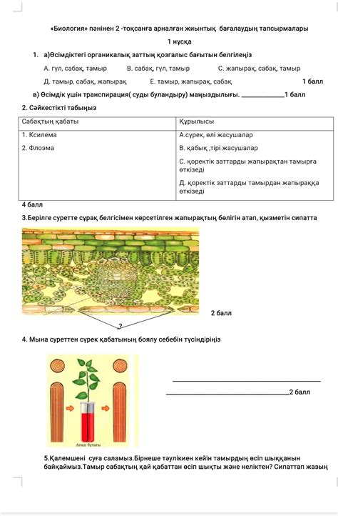 th?q=пиза+тапсырмалары+биология+пәнінен+7+сынып