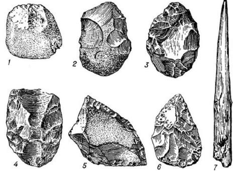 th?q=поздний+палеолит+человек+ранний+палеолит+орудия+труда