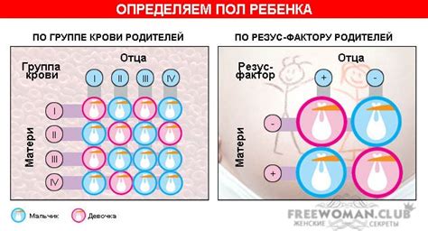 th?q=пол+ребенка+по+резус+фактору+таблица+по+группе+крови+пол+ребенка