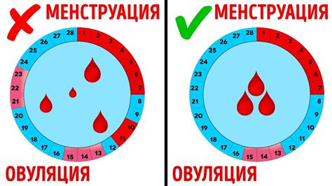 th?q=приснилось+что+пошли+месячные+на+кровь+не+видела+к+чему+это