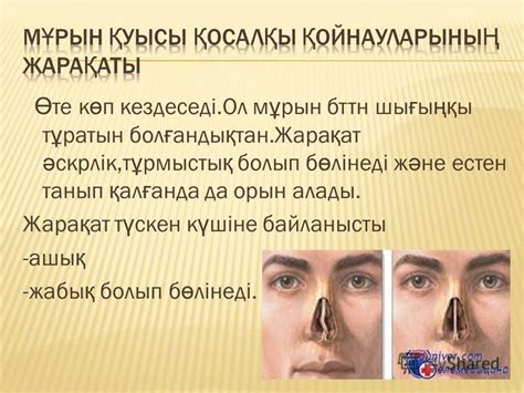 th?q=сасық+кеңірдек+емдеу+жұтқыншақ+көмей+аурулары