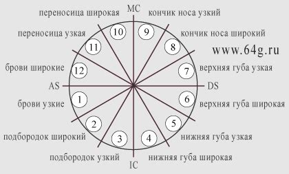 th?q=сектор+дома+в+гороскопах