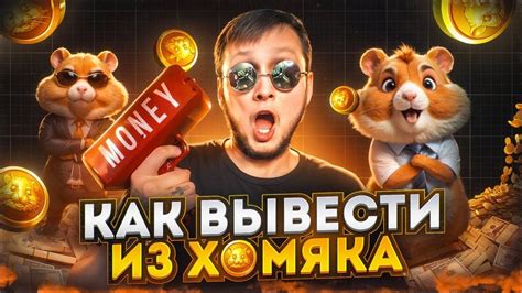 сколько стоит hamster combat коин