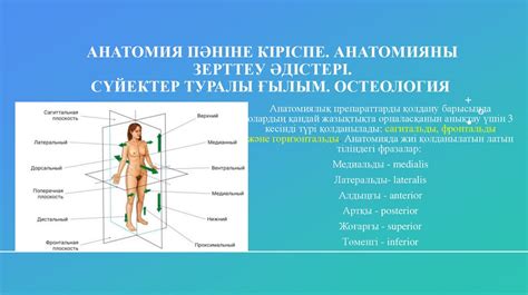 th?q=сүйектер+туралы+тест+жауаптарымен+біз+тәрізді+және+емізік+өсінді+қай+сүйекте+болады?