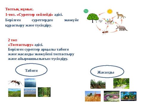 th?q=табиғи+және+жасанды+экожүйелер+презентация+табиғи+және+жасанды+экожүйенің+ұқсастықтары+неде