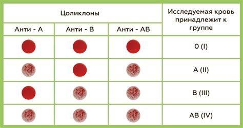 th?q=таблица+группы+крови+и+резус-фактора+родителей+и+детей+таблица+наследования+группы+крови