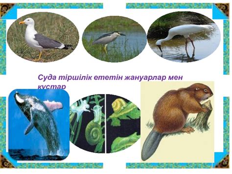 th?q=теңіз+өсімдіктері+суда+тіршілік+ететін+жануарлар+аттары