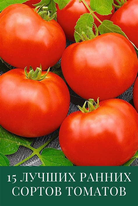 th?q=томаты+для+открытого+грунта+фирмы+аэлита+аэлита+семена+томатов