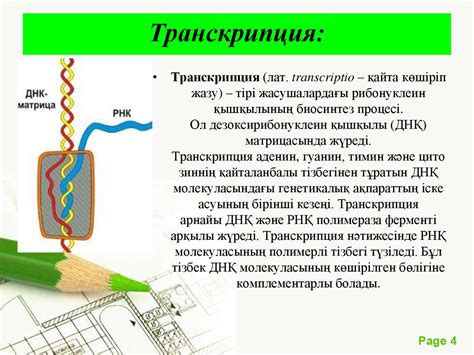 th?q=транскрипция+биология+казакша+трансляция+биология+деген+не