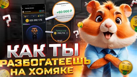 три карточки в hamster