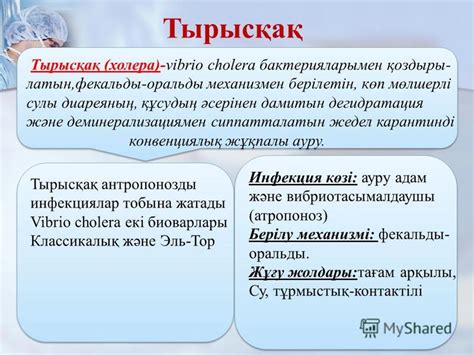 th?q=тырысқақ+на+русском+тырысқақ+деген+не