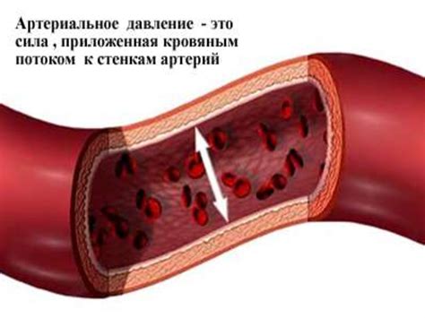 th?q=төмен+қысым+артериялық+қан+қысымы+презентация