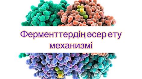 th?q=ферменттерді+өнеркәсіпте+қолдану+ферменттердің+әсер+ету+механизмі