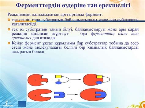 th?q=ферменттер+ыдыратады+пепсин+ферменттердің+жіктелуі