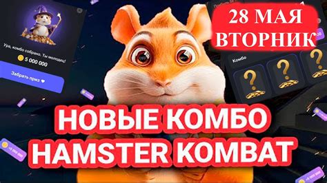 хамстер комбо 28.05