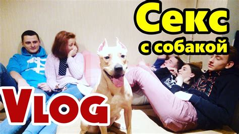 th?q=хочет+попробовать+секс+с+собакой