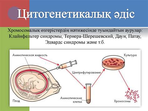 th?q=цитогенетикалық+әдіс+деген+не+онтогенетикалық+әдіс