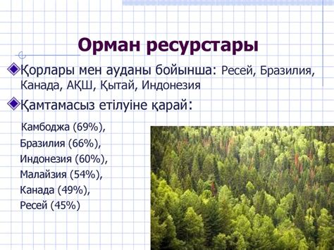 th?q=қазақстандағы+орман+ресурстары+мол+аудан+шығыс+қазақстан+орман+қоры