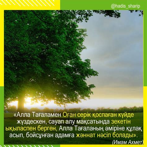 th?q=қандай+адамға+арналған+таро+макети+адамға+арналған+таро+схемасы