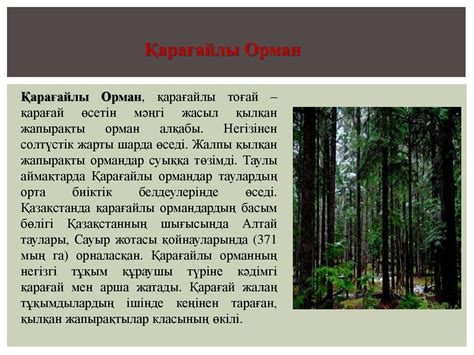 th?q=қарағайлы+орман+қмж+әлемнің+тропикалық+орман+аймақтарында+ағаштар+минутына+150+га