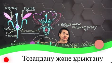 th?q=қосарлана+ұрықтану+дегеніміз+не+ұрықтану+түрлері