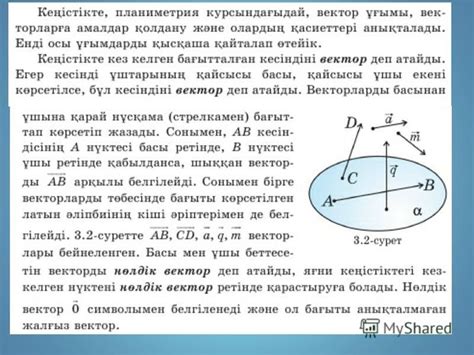 th?q=қояншық+дегеніміз+не