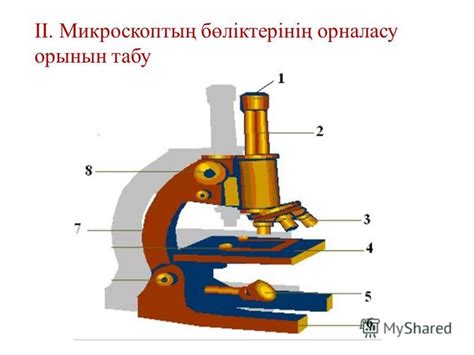 th?q=ұлғайтқыш+құралдың+көзбен+қарайтын+оптикалық+бөлігі+микроскоптың+негізгі+бөлігі