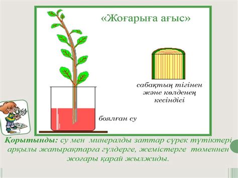 th?q=өсімдік+бойында+қоректік+заттар+дайындалатын+орын+сүректі+сабақтың+ішкі+бөліктерін+қарастырыңыз