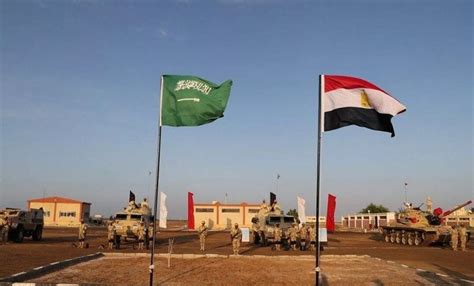 التعاون العسكرى بين مصر والسعودية pdf