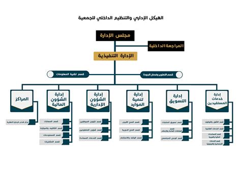 الهيكل التنظيمي لشركة pdf مصر 