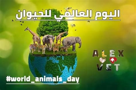 اليوم العالمي للحيوان