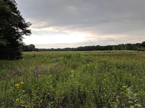 تعليقات حول ‪Barkhausen Waterfowl Preserve‬ - ‪Suamico ...