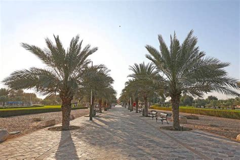 حديقة النخيل دبي