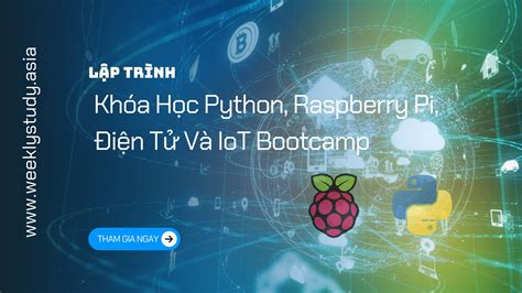 دانلود Python, Raspberry Pi, Electronics, and IoT Bootcamp. 